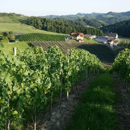 Winzerhaus Eva Apartment *