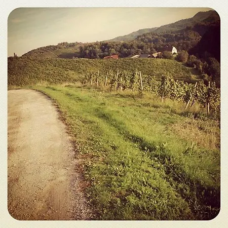 Apartment Winzerhaus Eva *
