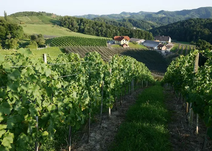 Winzerhaus Eva شقة *