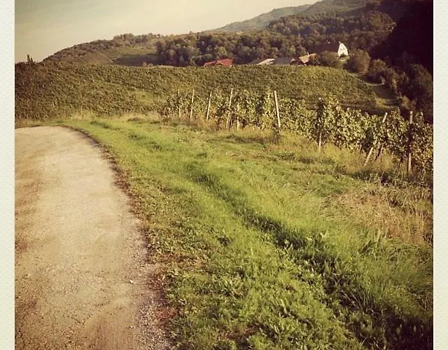 شقة Winzerhaus Eva *